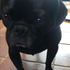 Meet your Posher, Tim